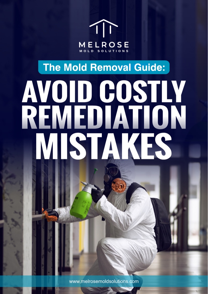The Mold Removal Guide — cover preview