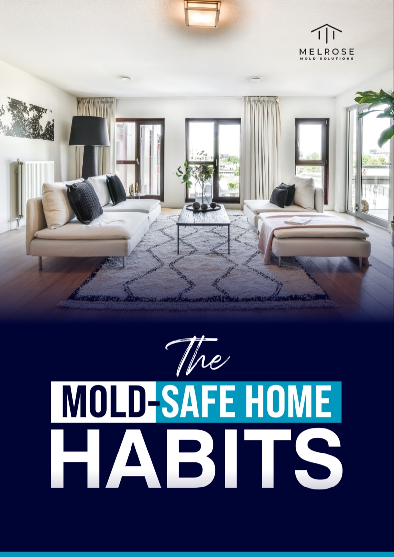 Mold-Safe Home Habits — cover preview